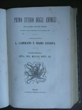 Libri figurati 800 scienze - libri, figurati'800