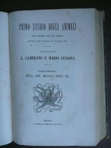 Libri figurati 800 scienze - libri,
