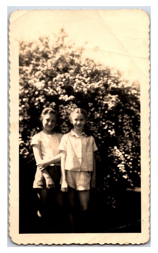 Originale anni twin - anni,