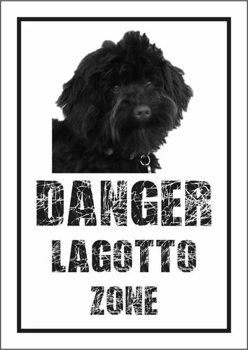 Cartello segnaletico lagotto - cartello,