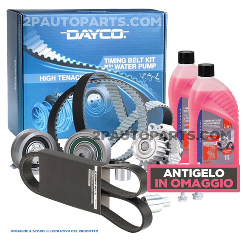 Kit distribuzione pompa acqua - kit,