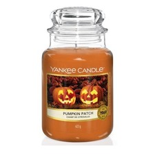 Yankee Candle Barattolo Grande