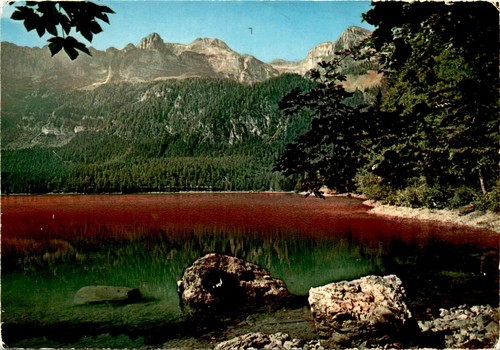 Cartolina trento dolomiti - trento,,