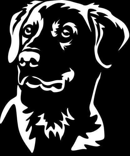 Adesivo labrador - adesivo,