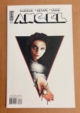Angel After the Fall #25 RI-B