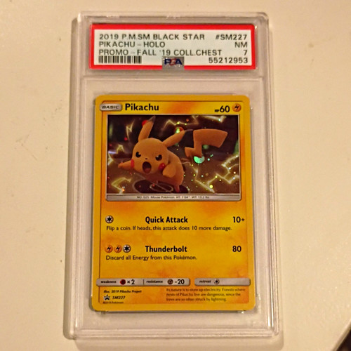 Pokémon 2019 stella nera - pokémon,