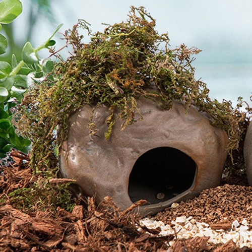 Criceto grotta paesaggistica - criceto,