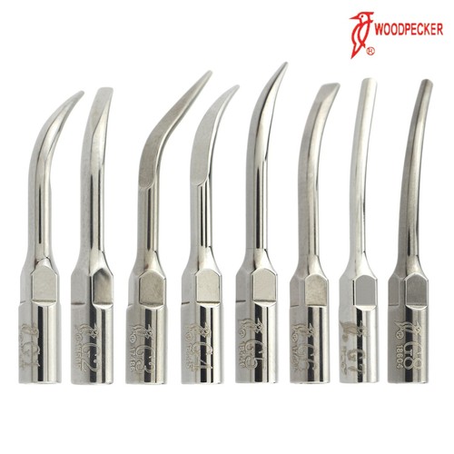Picchio dentale ultrasuoni - picchio,