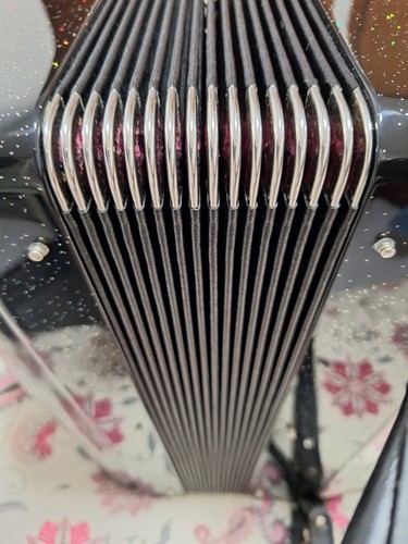 Acordeon cavagnolo - acordeon,