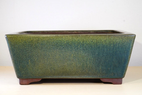 Vaso per bonsai giapponese