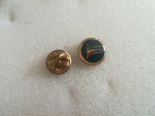Distintivo pin badge spilla - pin,
