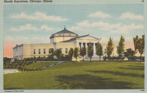 Chicago illinois shedd - illinois,