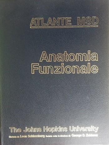 Atlante msd anatomia - atlante,