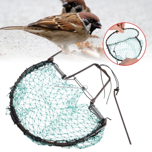 trappole uccelli rete