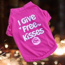 Maglia per cane chihuahua