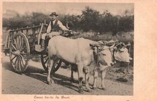 Vintage Postcard Carro Tiesto