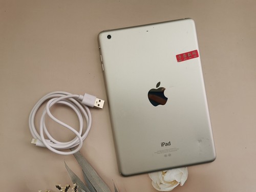 Apple ipad mini - ipad,