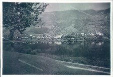 o678 bozza fotografica spinone provincia di bergamo