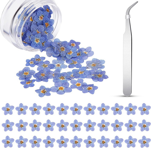 Pezzi fiori essiccati - 80,