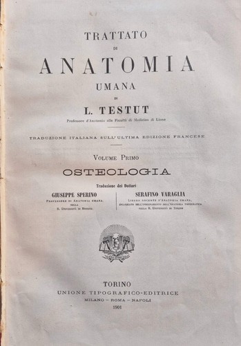 Trattato anatomia umana - anatomia,