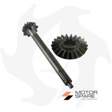 Coppia conica Pignone + Corona