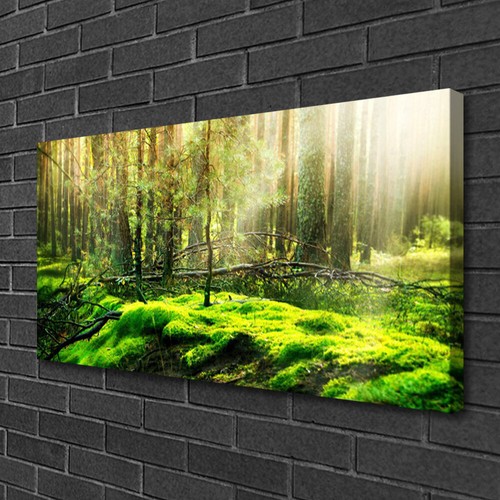 Moderni astratti 100x50 - moderni, quadro