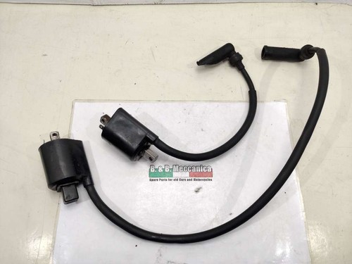 Coppia bobine accensione - coppia,