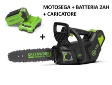 GREENWORKS GD40TCS MOTOSEGA