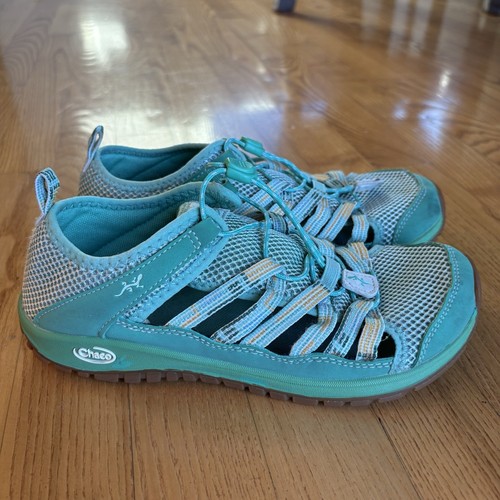 Chaco kids outcross - chaco,
