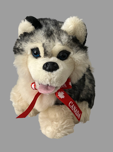 Peluche cane cucciolo - , husky