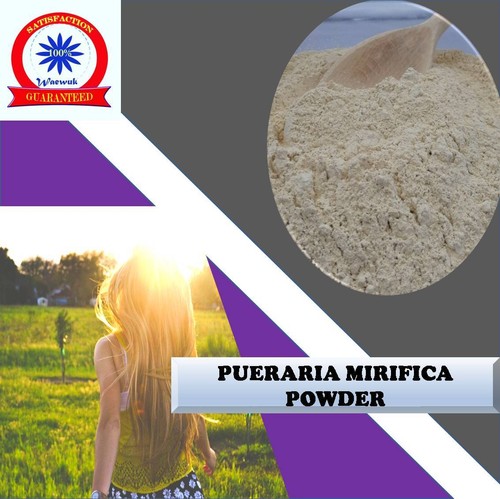 Pueraria mirifica polvere 200g - polvere,
