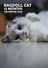 Ragdoll Gatti 2026 Calendari
