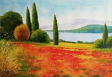 Dipinto ad acquerello - Prato con papaveri cm. 40x30 - Paesaggio di campagna