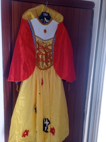 Vestito carnevale bambina - vestito,