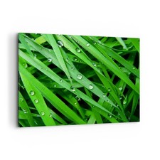 Quadro su Tela 120x80cm Natura