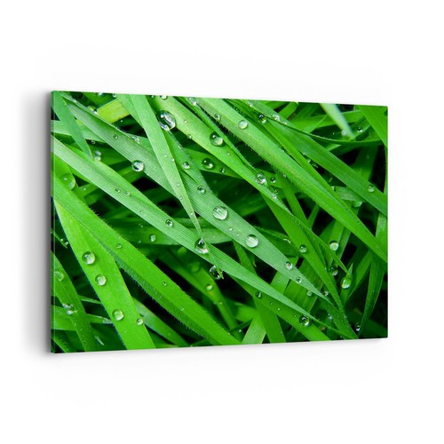 Quadro tela 120x80cm natura - quadro,