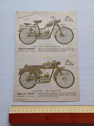 Gitan grillo sport - grillo,