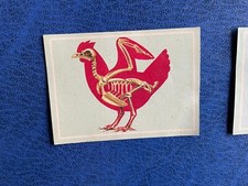 EDITRICE MODERNA VITA E COLORE