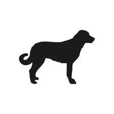 Anatolian shepherd Vinyl Decal