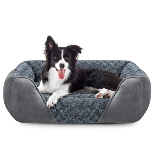 Cuccia cane interno - cane,