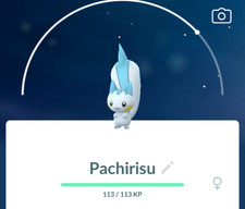 👻POKeMon Go Pachirisu 0417