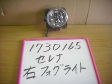 Fendinebbia destro Nissan