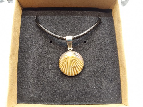 Fossil shell pendente art 5spp - shell,