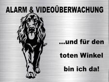 IRISH SETTER cartello di avvertimento per cani TARGA targa porta in elegante look acciaio inox #76