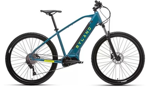 Bici elettrica mtb front - front, 29