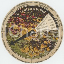 1970 ca LA RINASCENTE - Disco