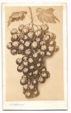 Photo CDV Photomontage