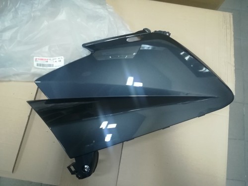 Carena ant fairing - sx,