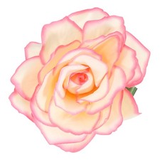Rose Boho Haarspangen Stoff