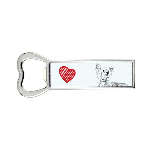 Cane cinese schopfhund apri - cinese,